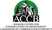 ACCB logo