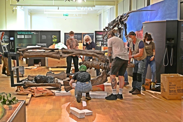Abbau der Dino-Ausstellung