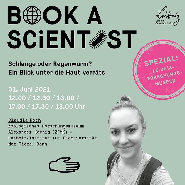 Dr. Claudia Koch - Graphik für Book a Scientist