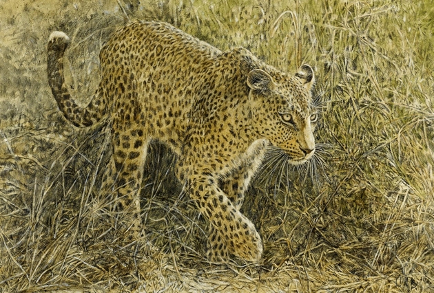 Leopard, Leopard, Mixed Media, 89 x 61 cm