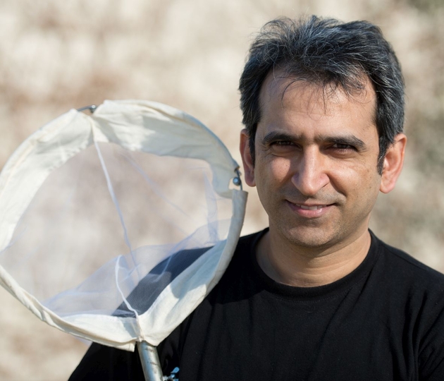 Portrait: Dr. Hossein Rajaei ist Kurator für Schmetterlinge am Staatlichen Museum für Naturkunde Stuttgart. Urhebervermerk: SMNS, A. Staniczek
