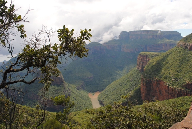Waldreste in den tiefen Schluchten des Blyde-River Canyons. Hier sind Wälder weitgehend von Feuern und Abholzung verschont geblieben.