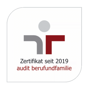 logo audit
