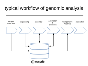 worklow of genomic data analysis
