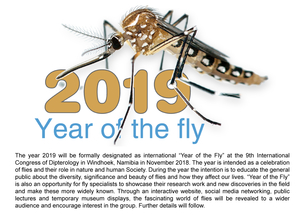 -2019 Year of the Fly Ankündigung