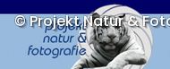 Projekt Natur & Fotografie Logo