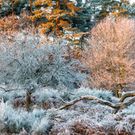 Landschaft mit Frost überzogen