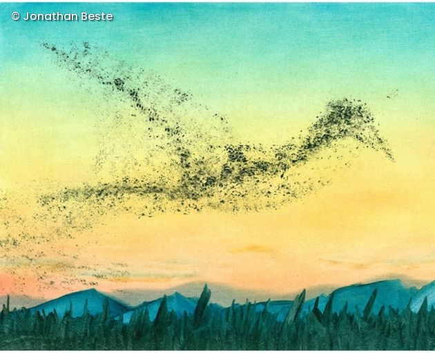 Gemalter Vogelschwarm