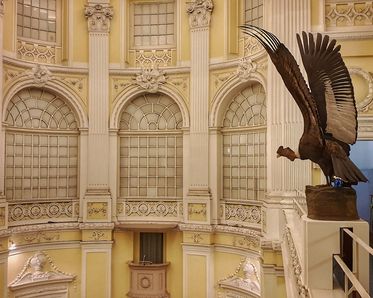 Enterventionale Ausstellungsraum