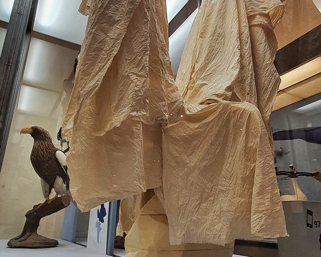 Enterventionale Ausstellungsraum