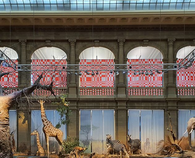 Enterventionale Ausstellungsraum