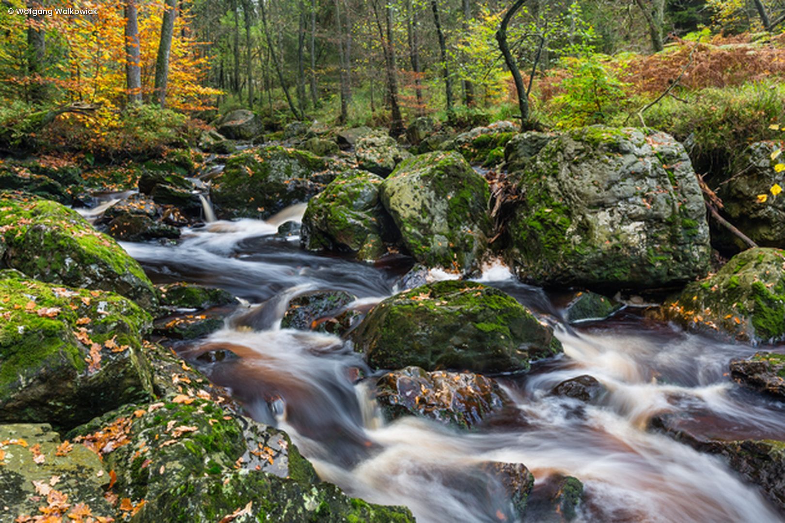 Wasser fließt durch Steine in Wald