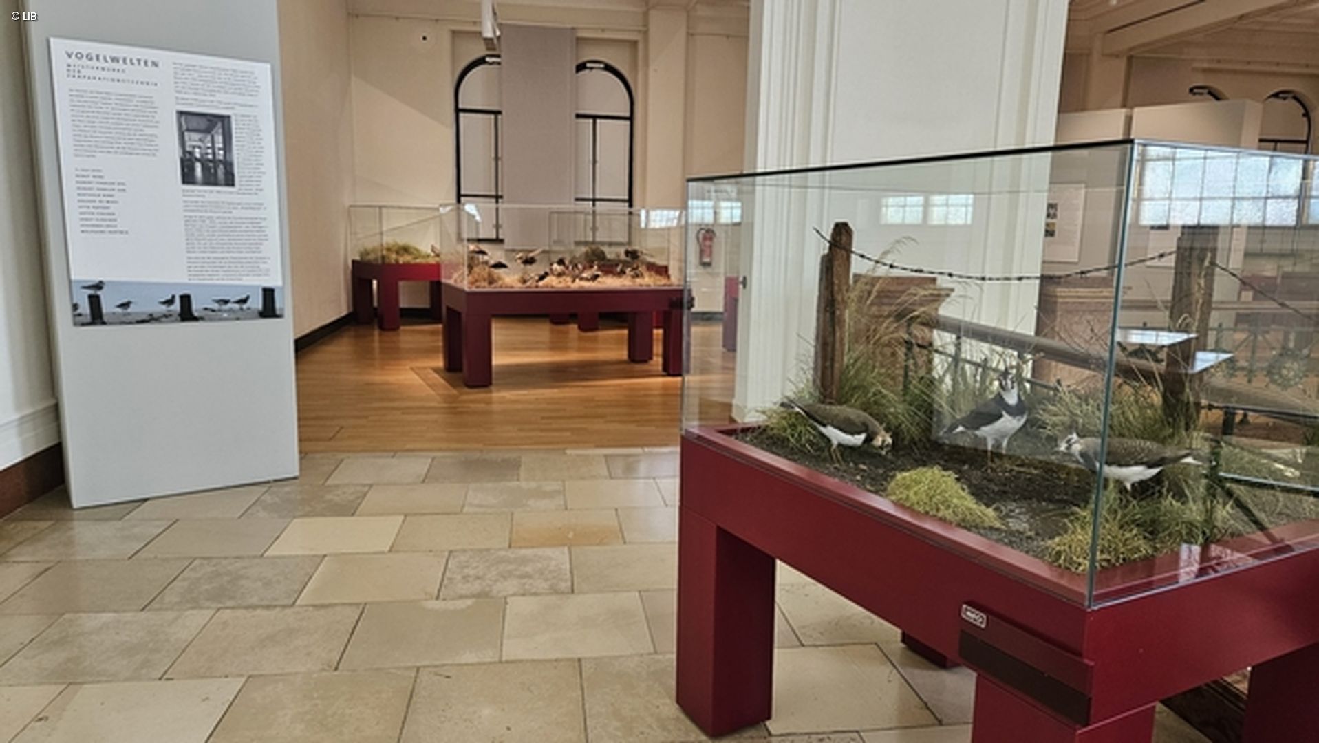Ausstellungsvitrinen