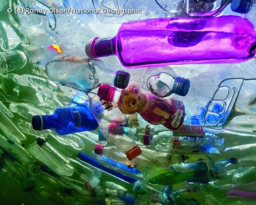 Plastikflaschen treiben im Wasser