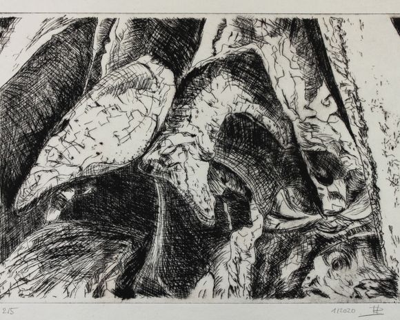 Grindwalschädel, Kaltnadelradierung