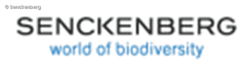 Senckenberg Logo