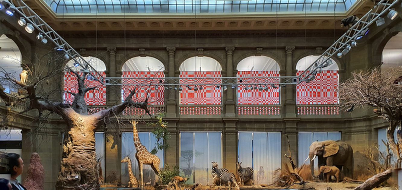 Enterventionale Ausstellungsraum