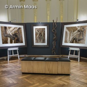 Bilder in Ausstellungsraum