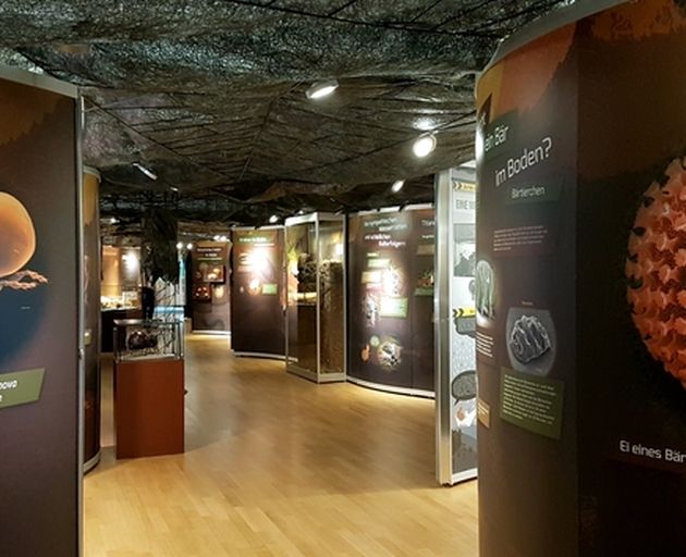 Ausstellungsraum