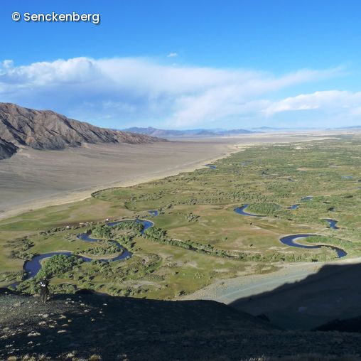 Panoramablick Natur