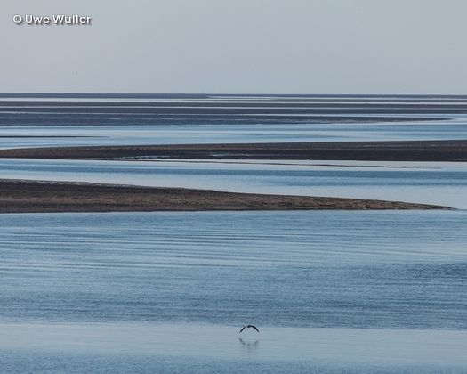 Wasser mit Sandbänken