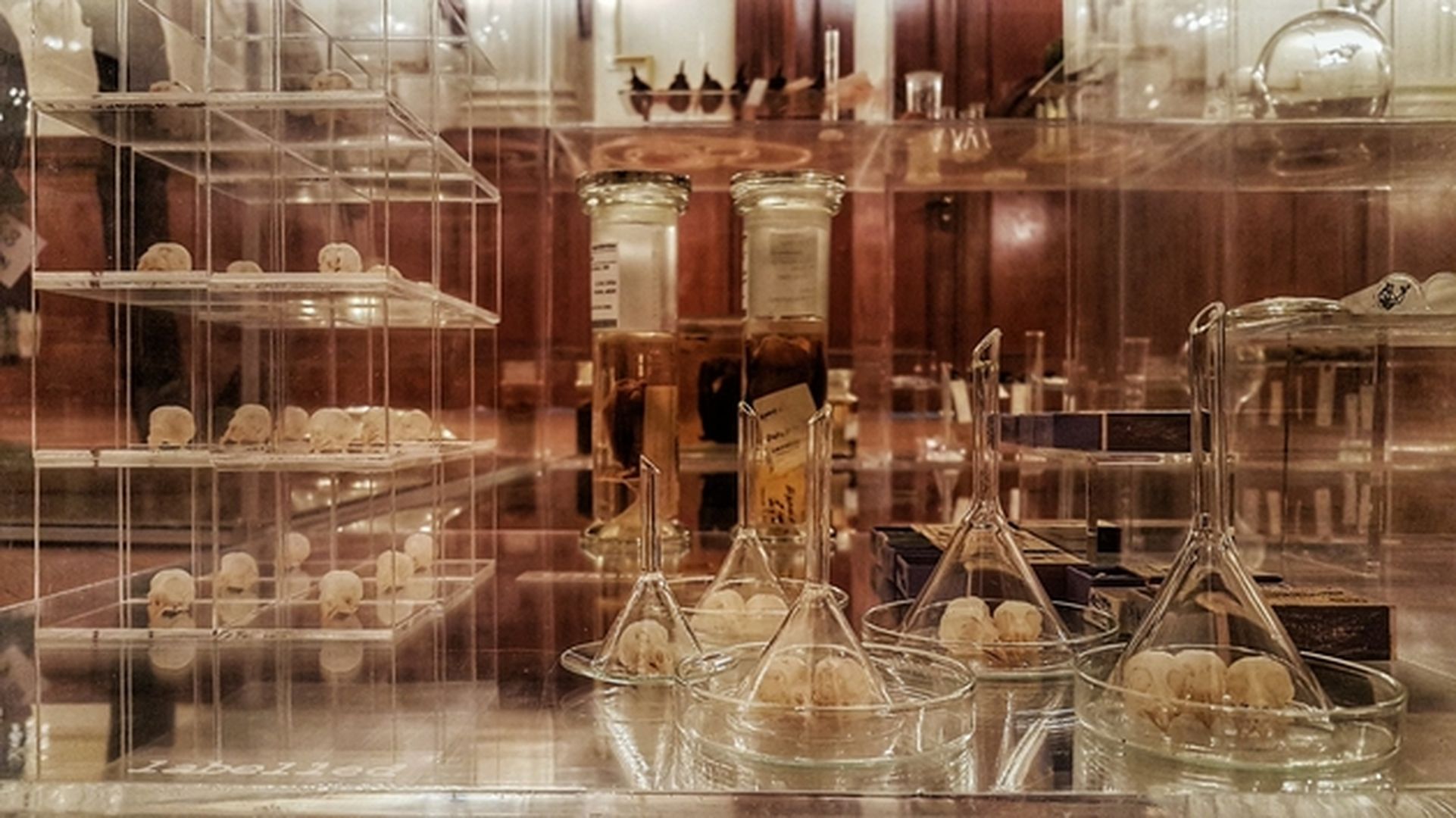 Ausstellungsraum