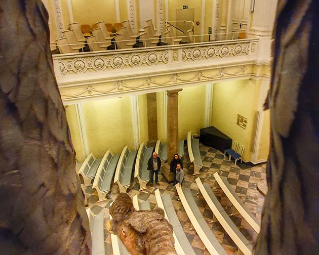 Enterventionale Ausstellung