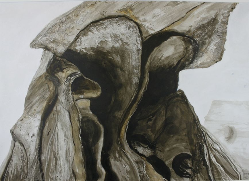 Tapirschädel (Detail), Tusche/Schellack