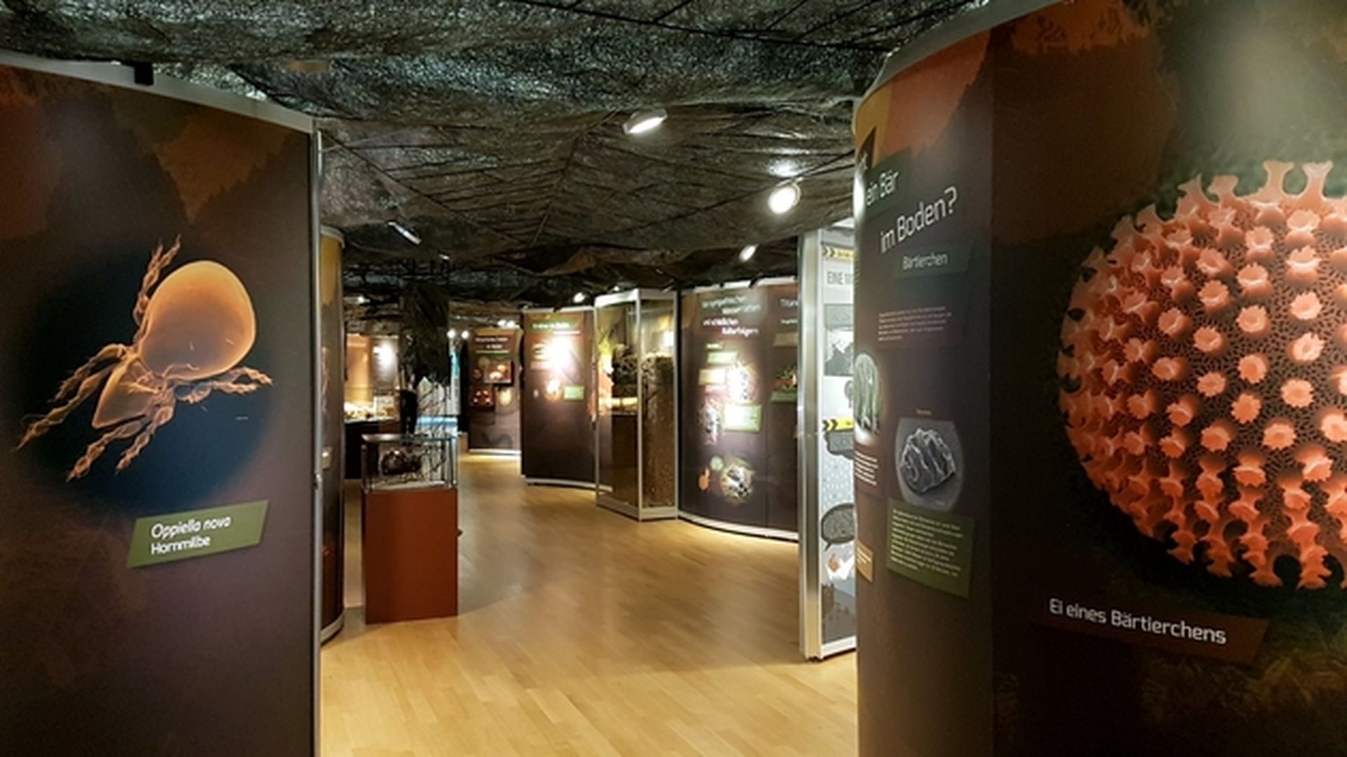 Ausstellungsraum