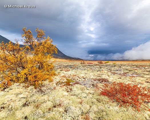 Landschaft mit gelb-orangener Landschaft