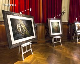 Bilder in Ausstellungsraum