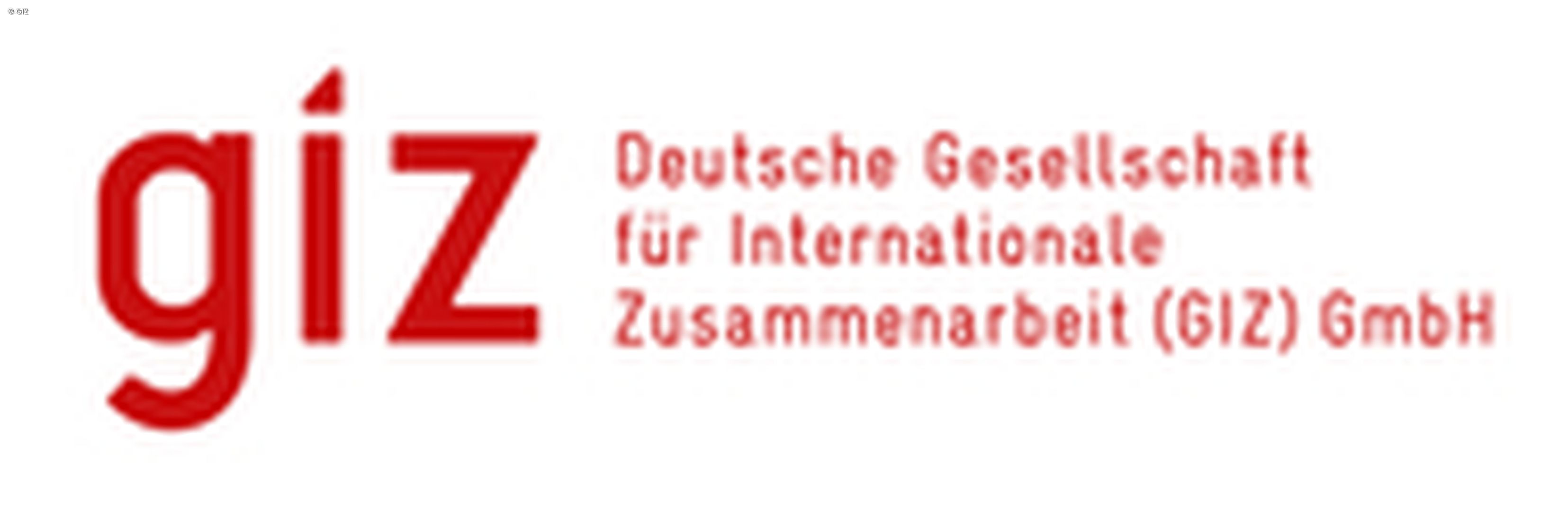 GIZ Logo