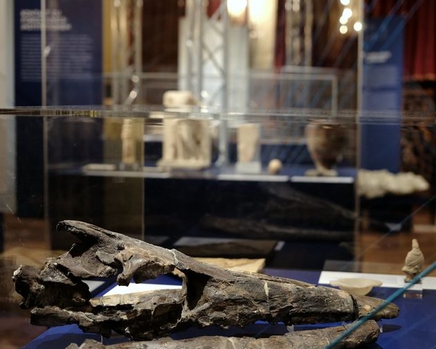 Kosmos Ausstellungsvitrine