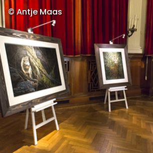 Bilder in Ausstellungsraum