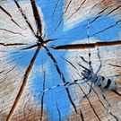 Querschnitt von Baumstamm mit blauer Farbe