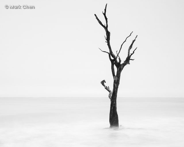 Kahler Baum, SW