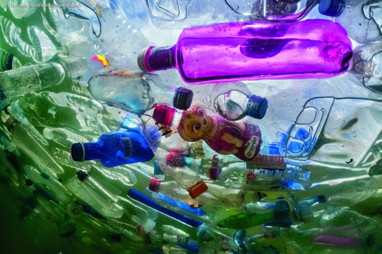 Plastikflaschen treiben im Wasser