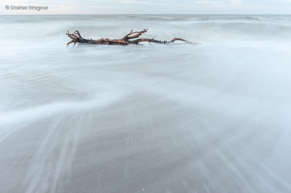 Ast am Strand