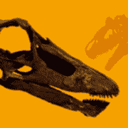 Dino Schädel