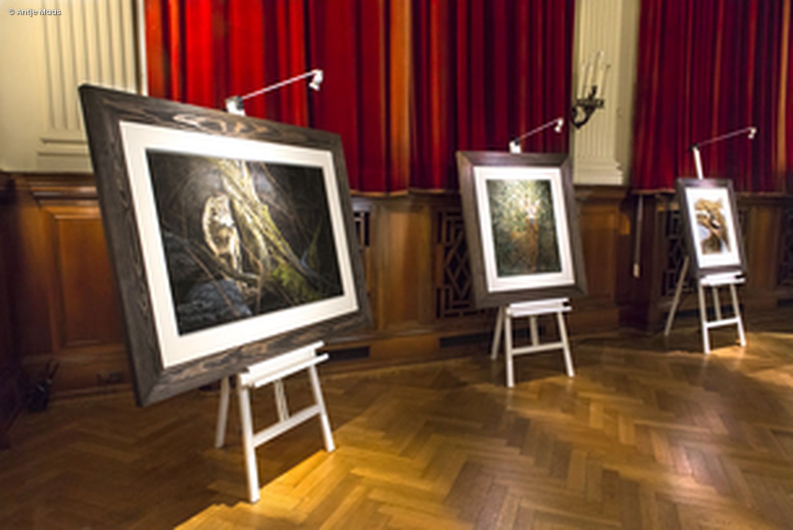 Bilder in Ausstellungsraum