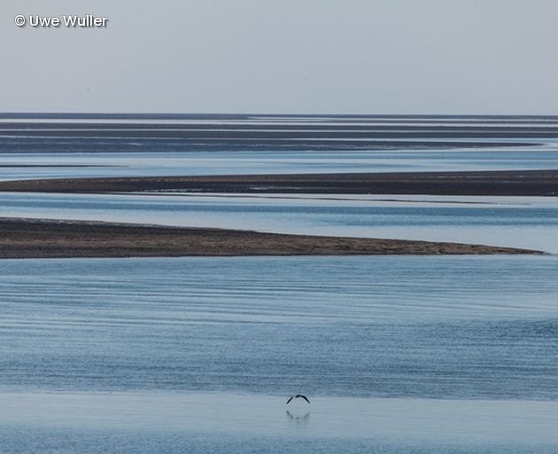 Wasser mit Sandbänken