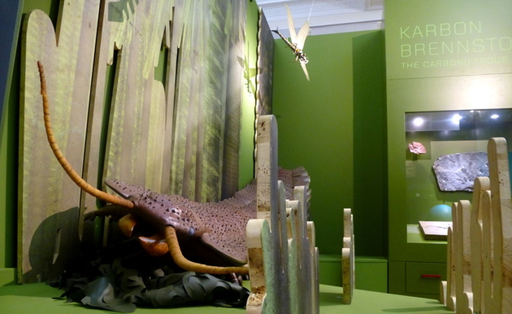 Kakerlaken Modell in Ausstellung