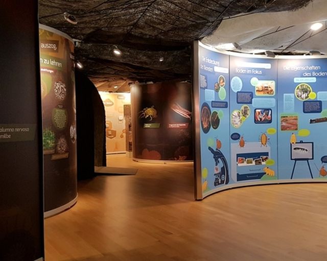 Ausstellungsraum