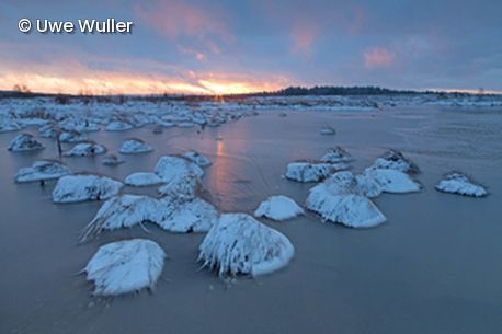 Eisschollen auf Wasser