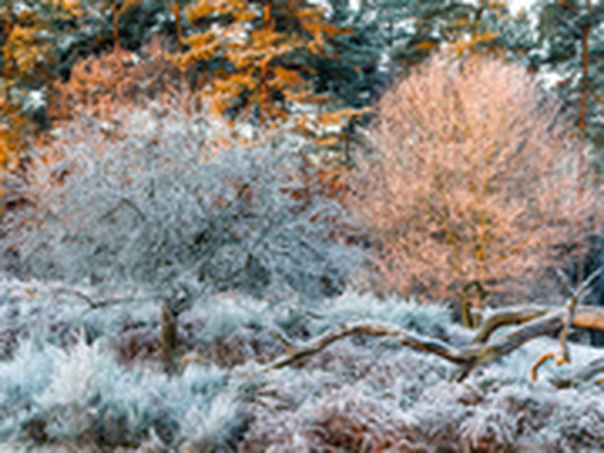 Landschaft mit Frost überzogen