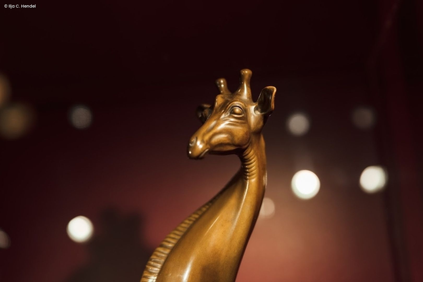 Bundesgiraffe