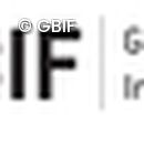 GBIF Logo