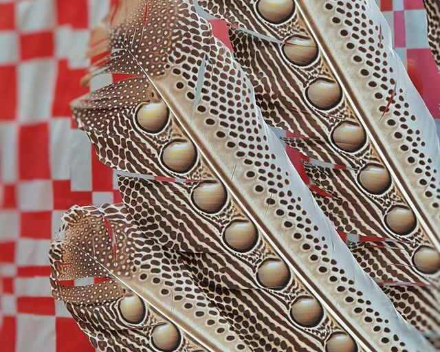 Enterventionale Ausstellung