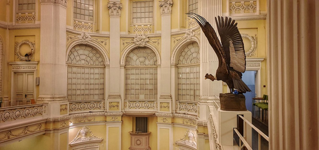 Enterventionale Ausstellungsraum