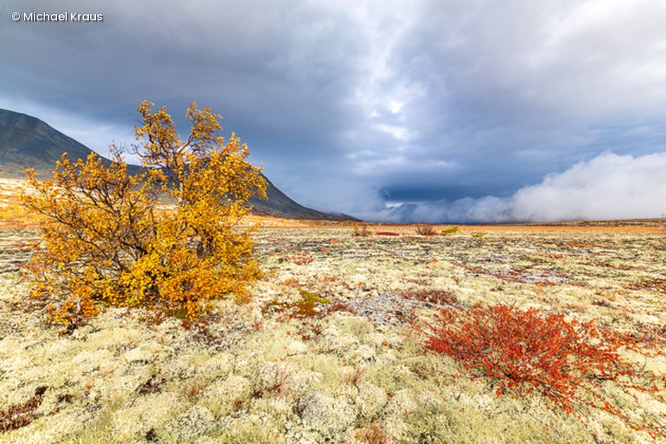 Landschaft mit gelb-orangener Landschaft